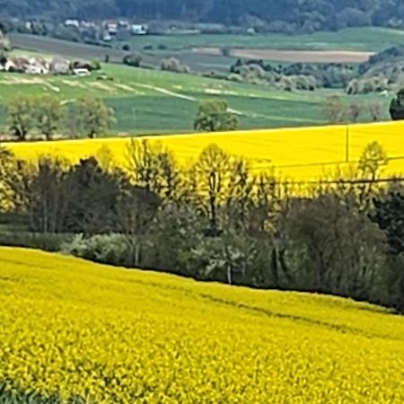 فيلا La Layotte Vosne-Romanée المظهر الخارجي الصورة